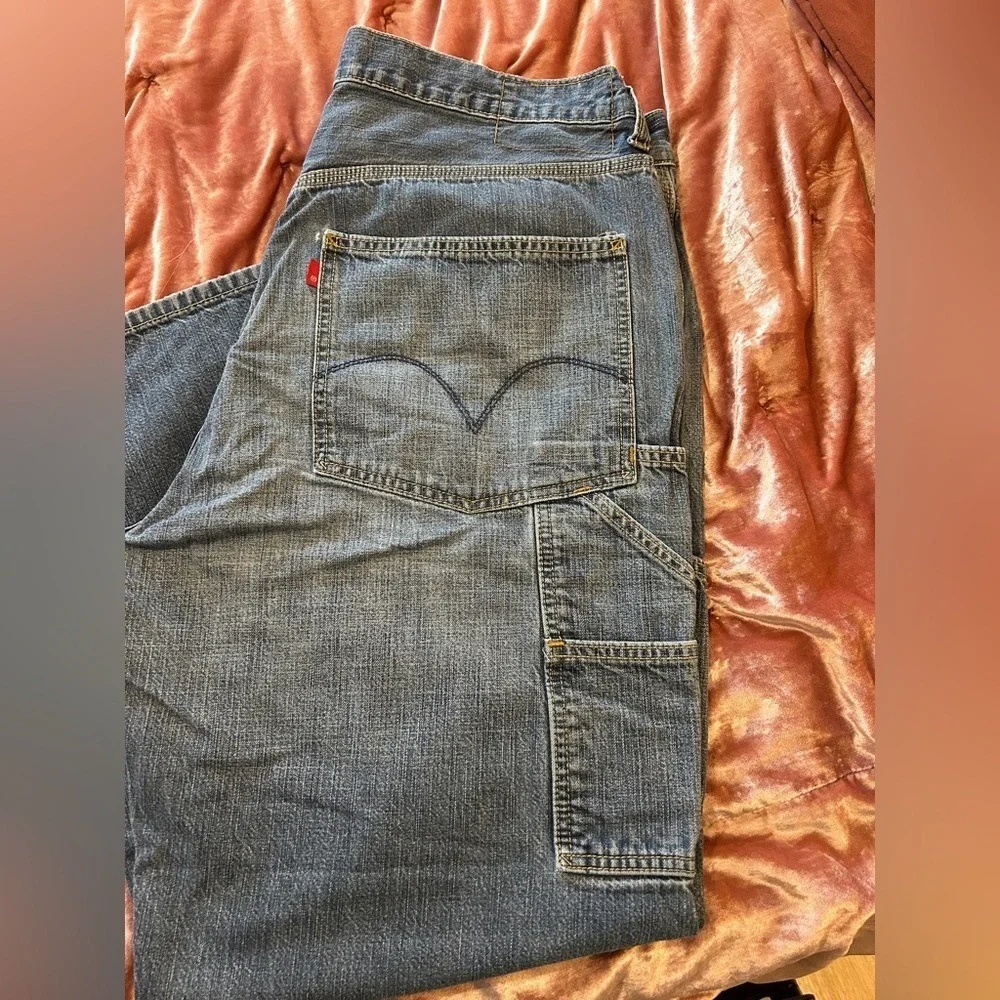 Levis levis carpenter